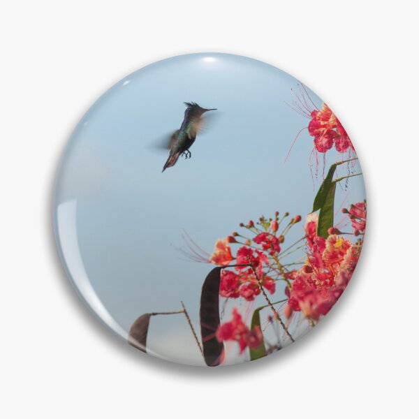 Item preview, Hummingbird close to flowers,Grenada. designed and sold by sandyprints.