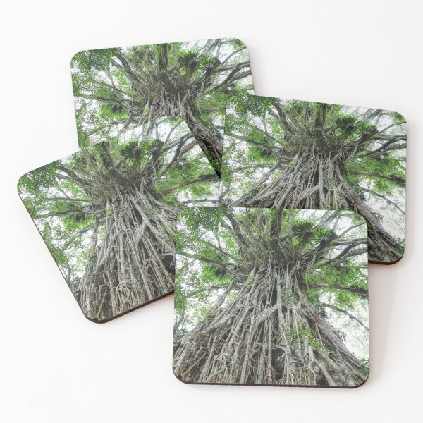 Item preview, Giant Fig Tree designed and sold by SACRED NATURE DESIGNS.