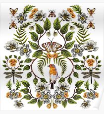 Spring Reflection - Floral/Botanical Pattern w/ Birds, Moths, Dragonflies & Flowers Poster