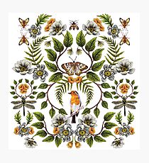Spring Reflection - Floral/Botanical Pattern w/ Birds, Moths, Dragonflies & Flowers Photographic Print