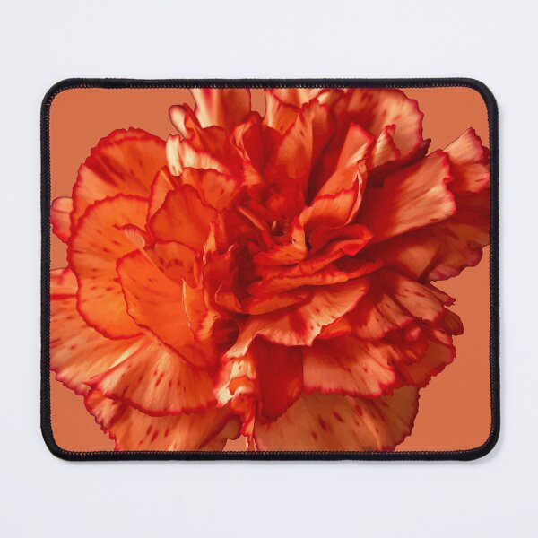 Item preview, Stunningly Beautiful Red Carnation Vector Cut Out designed and sold by taiche.