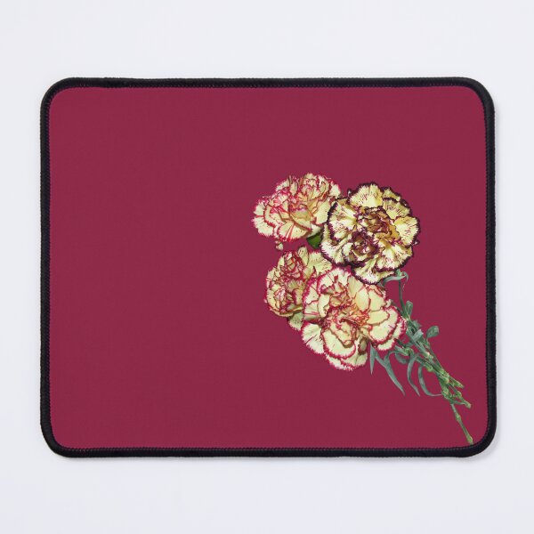 Item preview, Colorful Carnations Vector Art Cut Out designed and sold by taiche.