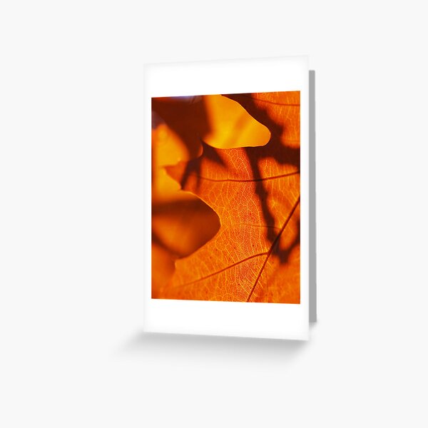 Oak Greeting Card