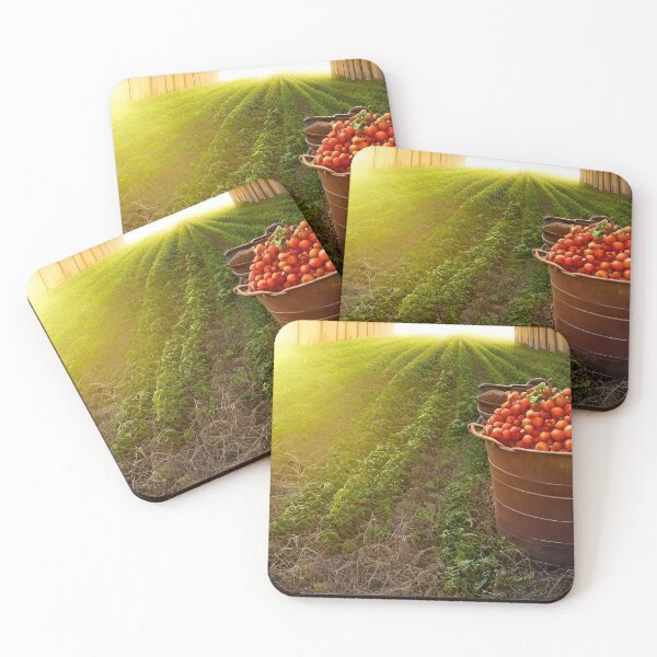 Item preview, Picked Clean designed and sold by Steve Walser.