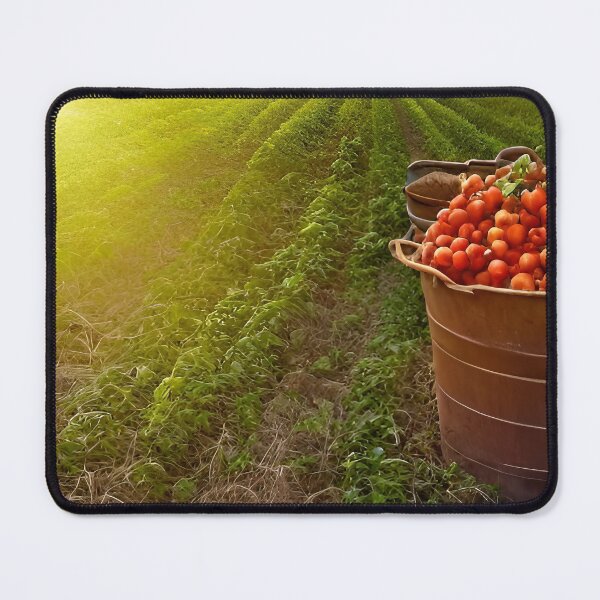 Item preview, Picked Clean designed and sold by Steve Walser.