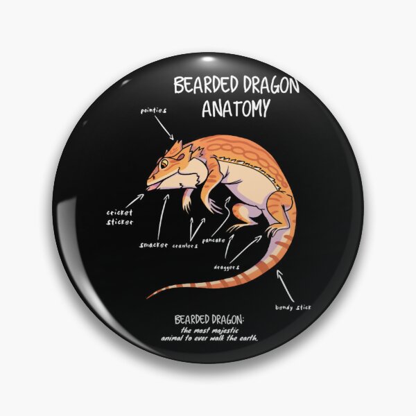 Item preview, bearded dragon anatomy designed and sold by VidElement.