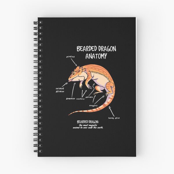 Item preview, bearded dragon anatomy designed and sold by VidElement.