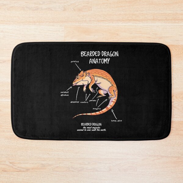 Item preview, bearded dragon anatomy designed and sold by VidElement.