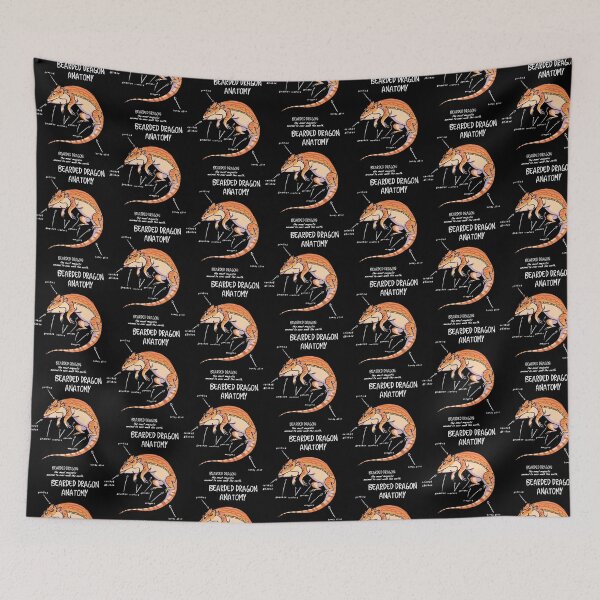 Item preview, bearded dragon anatomy designed and sold by VidElement.