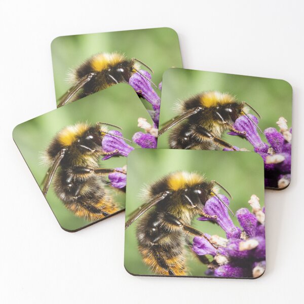 Item preview, Bee on a flower designed and sold by Gary Turner.