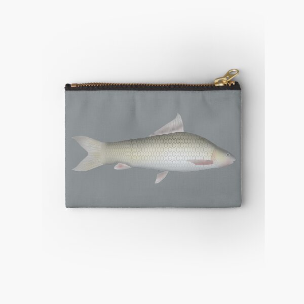 Item preview, Assuan Labeo designed and sold by fishfolkart.