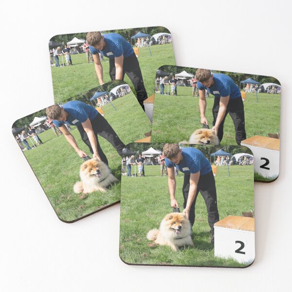 Item preview, 2nd place, cutest youngster. Woodside RSPCA dog show, Knighton Park 2023 designed and sold by Woodside-RSPCA.