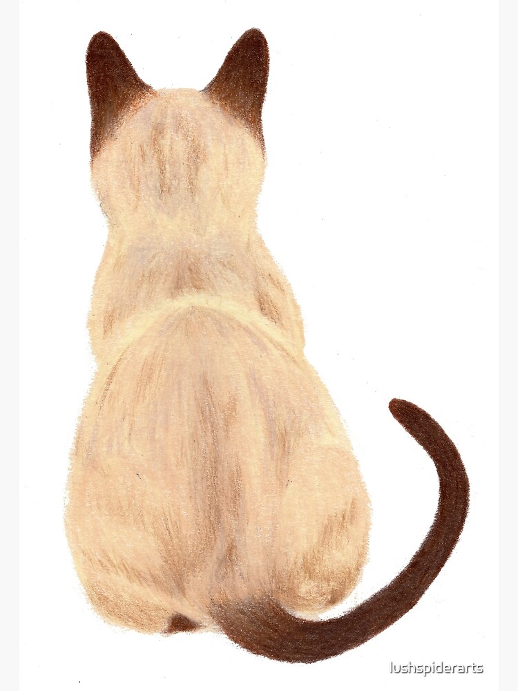 "Siamese Cat Sitting Back View" Poster by lushspiderarts Redbubble