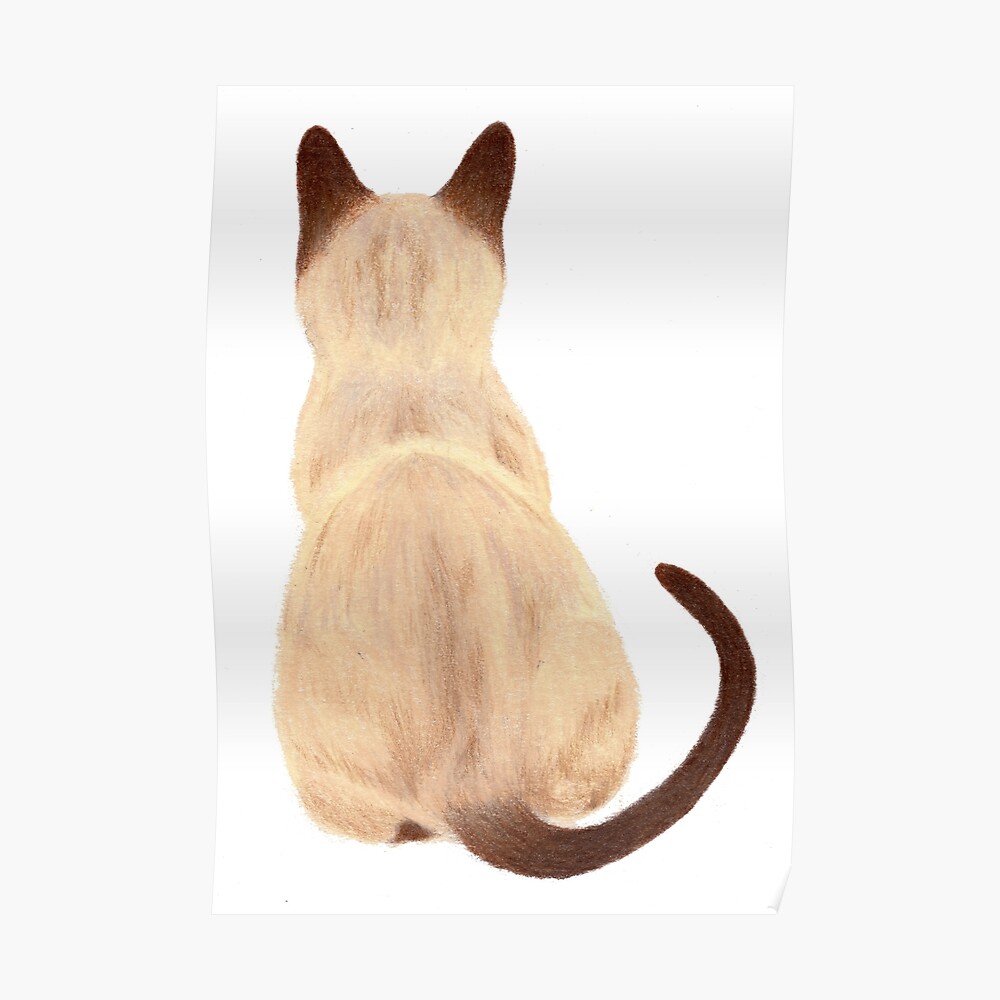 Sticker Siamese Cat Sitting Back Voir Par Lushspiderarts Redbubble