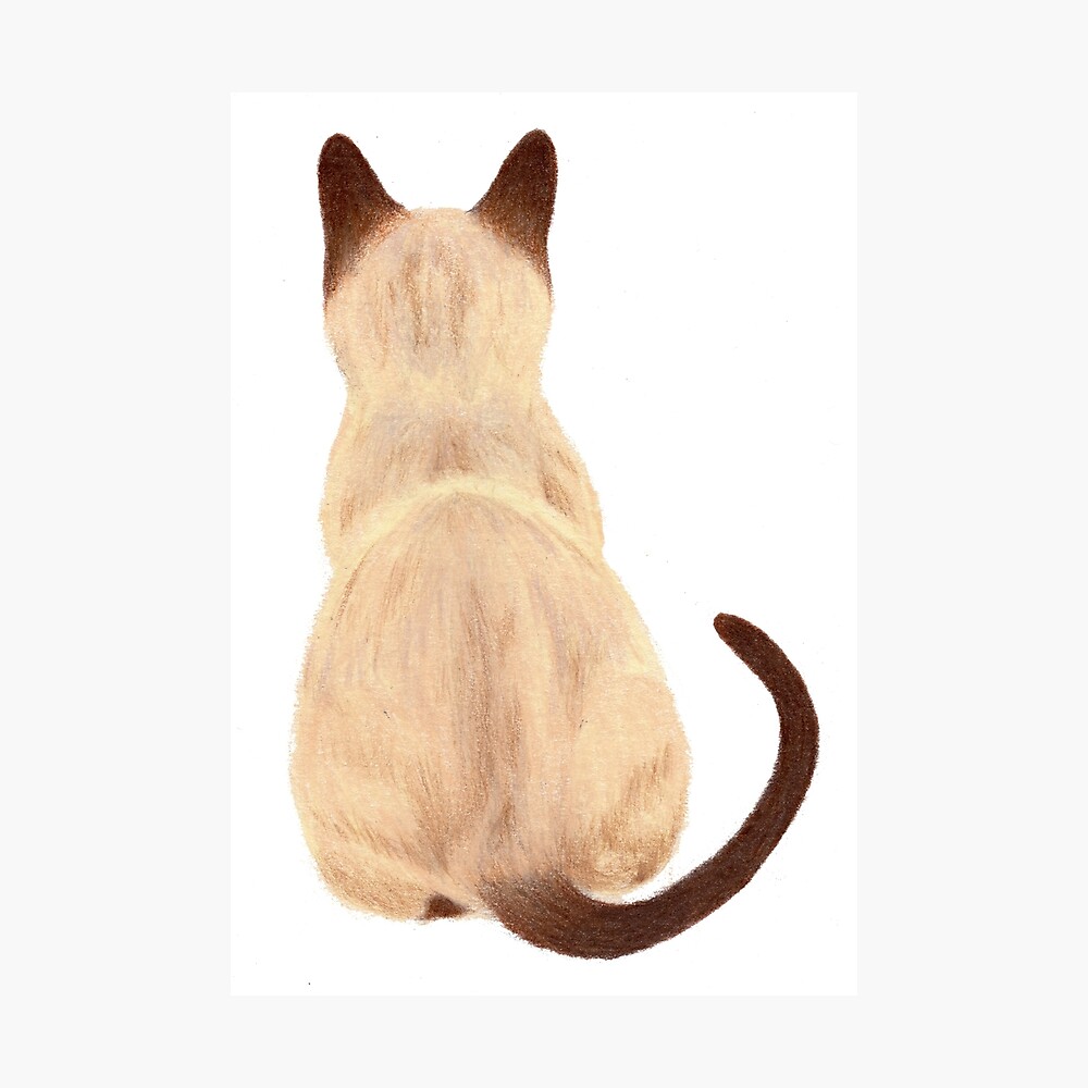 Siamese Cat Sitting Back View Poster By Lushspiderarts Redbubble