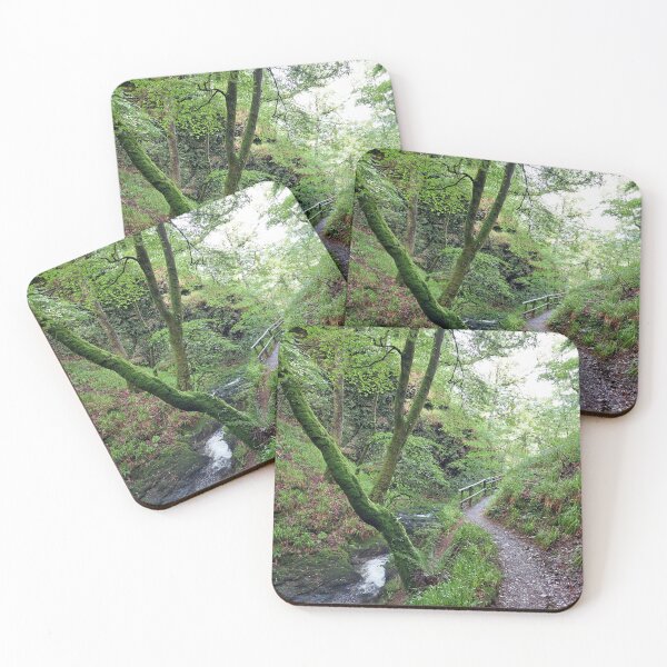 Item preview, Lydford Gorge Woodland Path designed and sold by Zoe Sian Photography.