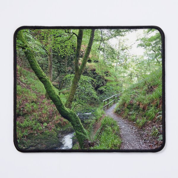 Item preview, Lydford Gorge Woodland Path designed and sold by Zoe Sian Photography.