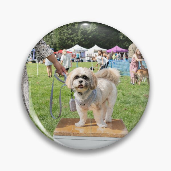 Item preview, 2nd place Handsome male. Woodside RSPCA dog show, Knighton Park 2023 designed and sold by Woodside-RSPCA.