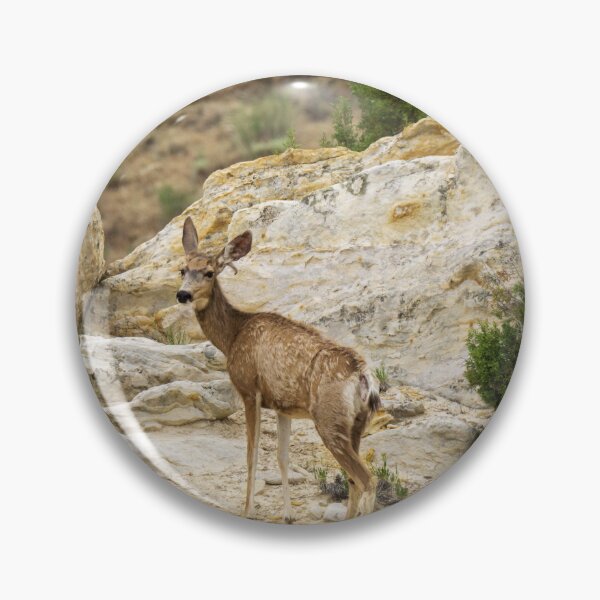 Item preview, Deer at Dinosaur National Monument designed and sold by TinyDinoDesigns.