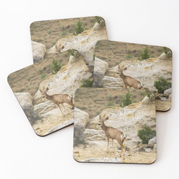 Artikelvorschau, Hirsch am Dinosaur National Monument entworfen und verkauft von TinyDinoDesigns.