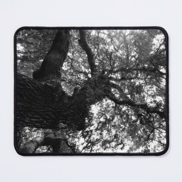 Item preview, Weeping Willow #1 designed and sold by Gregory James Wyrick.