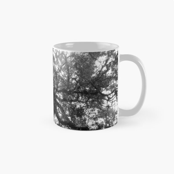 Item preview, Weeping Willow #1 designed and sold by Gregory James Wyrick.