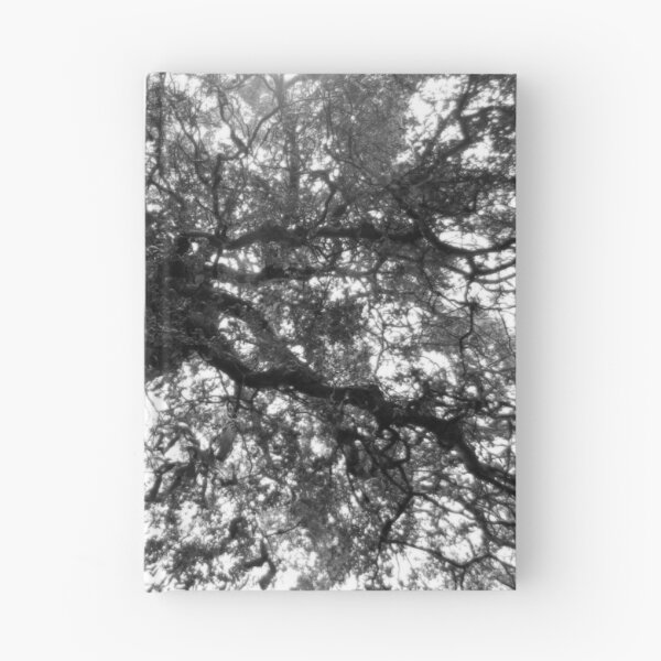 Item preview, Weeping Willow #1 designed and sold by Gregory James Wyrick.