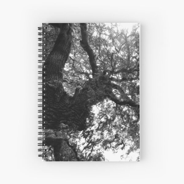 Item preview, Weeping Willow #1 designed and sold by Gregory James Wyrick.