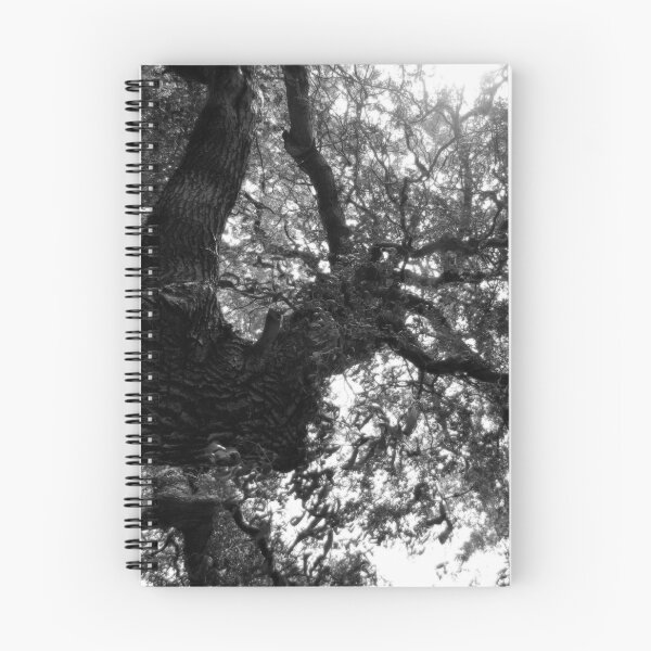 Item preview, Weeping Willow #1 designed and sold by Gregory James Wyrick.