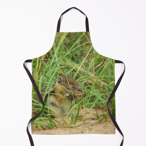 Item preview, Nom Nom Chipmunk | Dinosaur National Monument  designed and sold by TinyDinoDesigns.