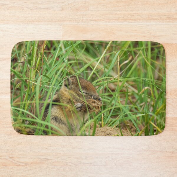 Item preview, Nom Nom Chipmunk | Dinosaur National Monument  designed and sold by TinyDinoDesigns.