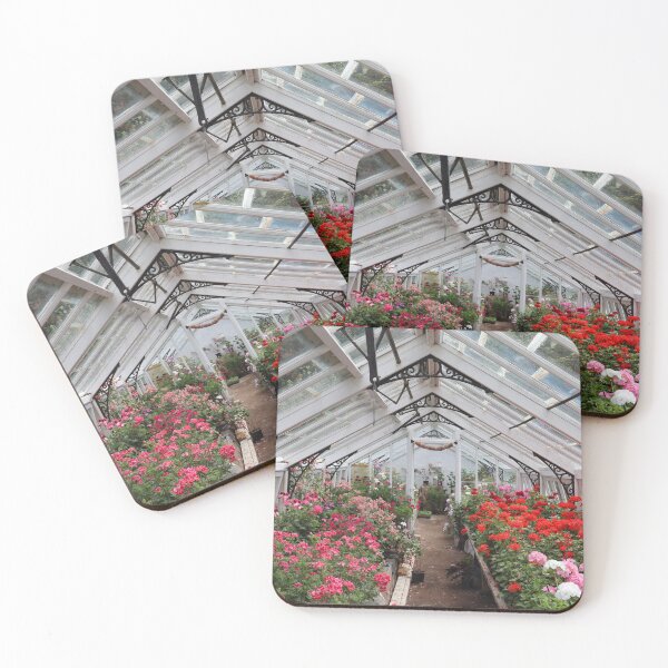 Item preview, Flowers in a Greenhouse at Hartland Abbey Gardens designed and sold by Zoe Sian Photography.