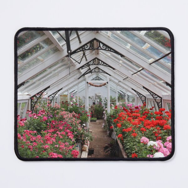 Item preview, Flowers in a Greenhouse at Hartland Abbey Gardens designed and sold by Zoe Sian Photography.