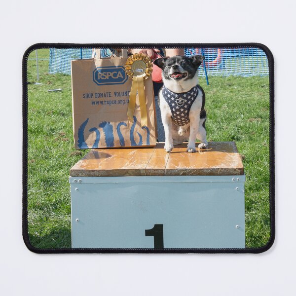 Item preview, 1st place Best rescue. Woodside RSPCA dog show, Knighton Park 2023 designed and sold by Woodside-RSPCA.