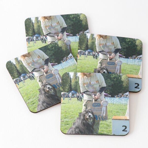Item preview, 2nd place Best rescue. Woodside RSPCA dog show, Knighton Park 2023 designed and sold by Woodside-RSPCA.