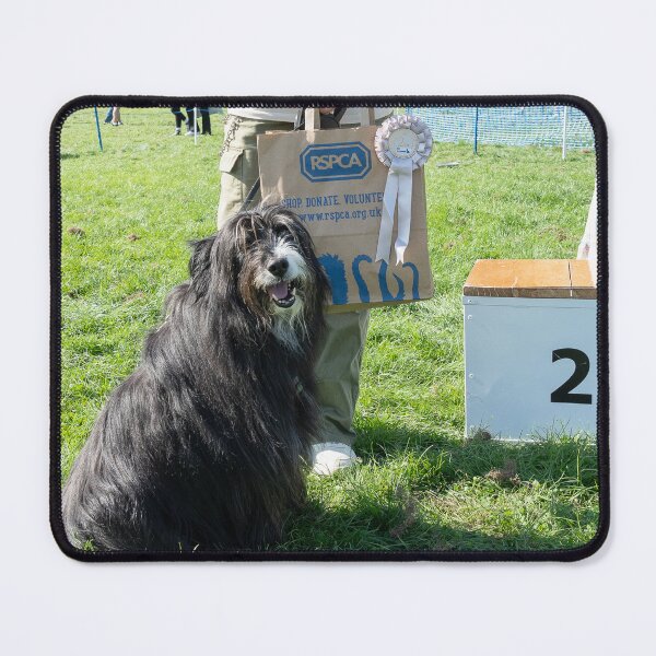 Item preview, 2nd place Best rescue. Woodside RSPCA dog show, Knighton Park 2023 designed and sold by Woodside-RSPCA.