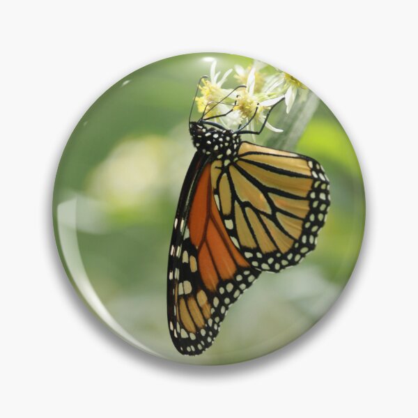 Item preview, Butterfly at the End of Summer designed and sold by Emipea.