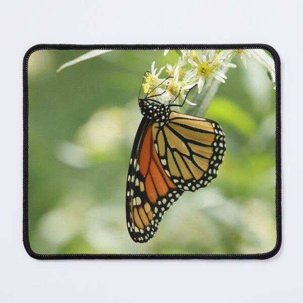 Item preview, Butterfly at the End of Summer designed and sold by Emipea.