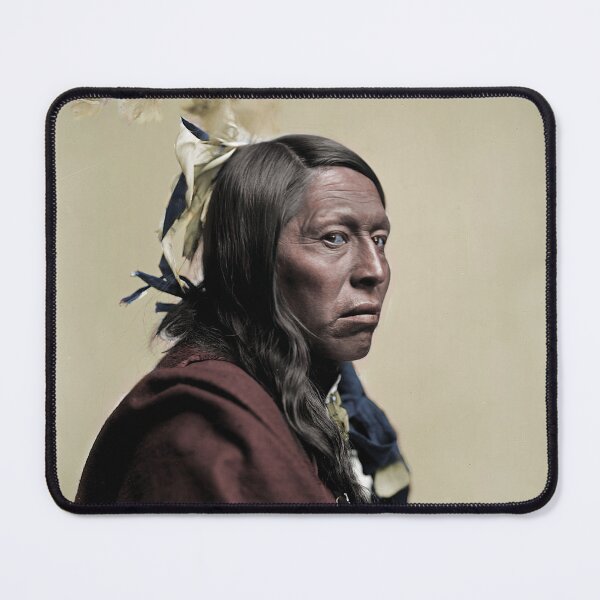Item preview, "Flying Hawk" 1852-1931 designed and sold by PatSeg Photos.