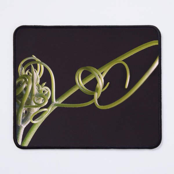 Item preview, Do the twist. designed and sold by Paul Pasco.