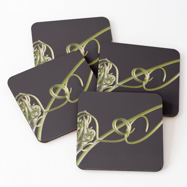 Item preview, Do the twist. designed and sold by Paul Pasco.