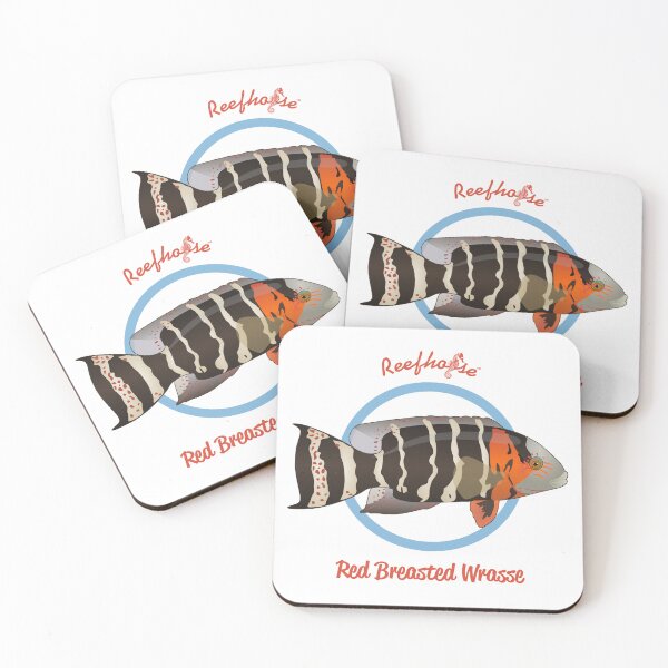 Item preview, Red Breasted Wrasse designed and sold by KaplanCrypto.
