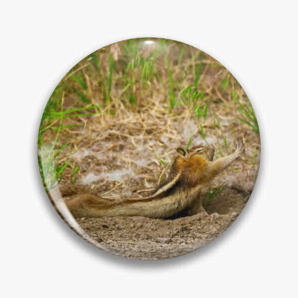 Item preview, Chipmunk Yoga | Dinosaur National Monument designed and sold by TinyDinoDesigns.