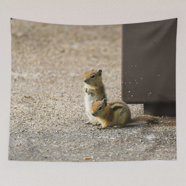 Artikelvorschau, Chillin Chipmunks | Dinosaurier-Nationaldenkmal entworfen und verkauft von TinyDinoDesigns.