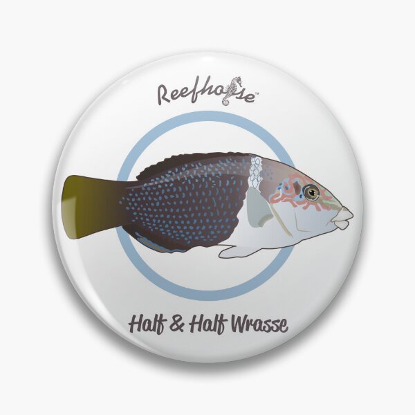 Item preview, Half and Half Wrasse designed and sold by KaplanCrypto.
