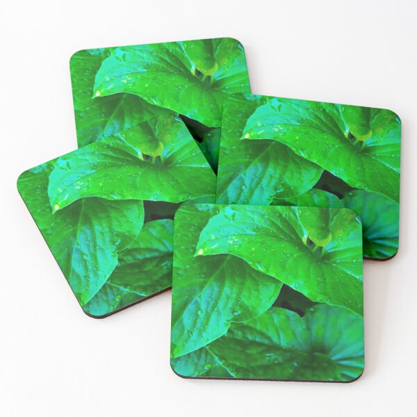 Item preview, The leavs of Typhonium roxburghii ,dwarf voodoo lily designed and sold by Royalsticker.