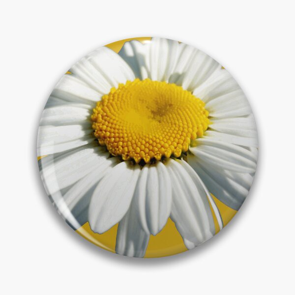 Item preview, Stunning White Shasta Daisy Vector Cut Out designed and sold by taiche.
