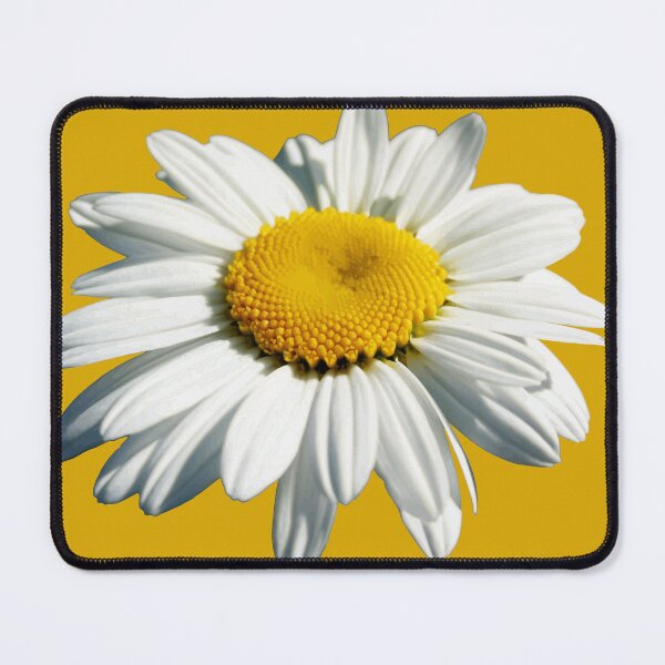Item preview, Stunning White Shasta Daisy Vector Cut Out designed and sold by taiche.