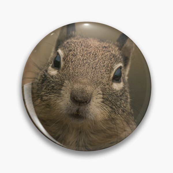 Item preview, Squirrel designed and sold by williamsrdan.