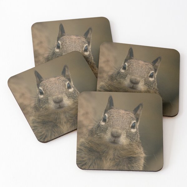 Item preview, Squirrel designed and sold by williamsrdan.